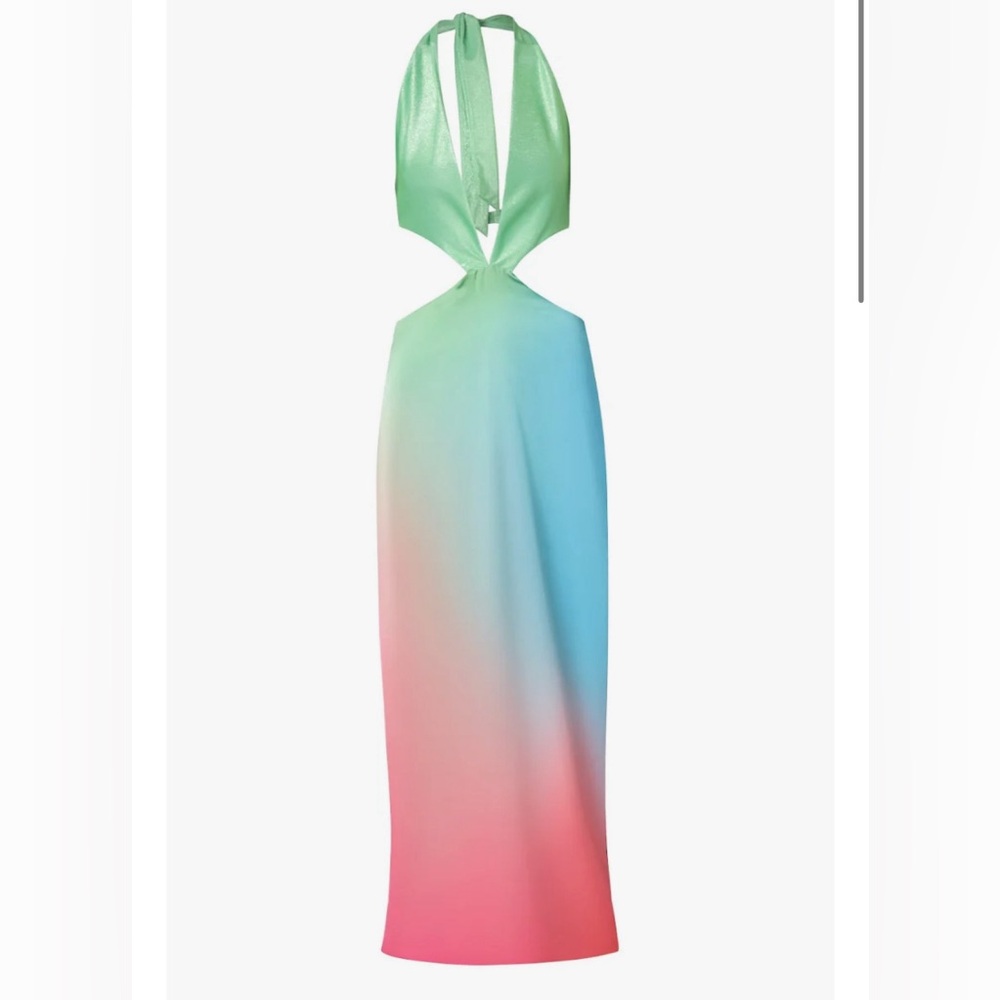 Baobab Raffia Dress Gradient - Picture 2 of 7